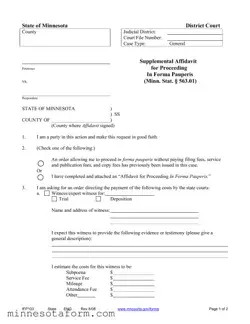 Official Minnesota Ifp103 Form in PDF