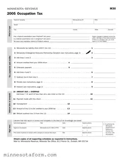 Official Minnesota M30 Form in PDF